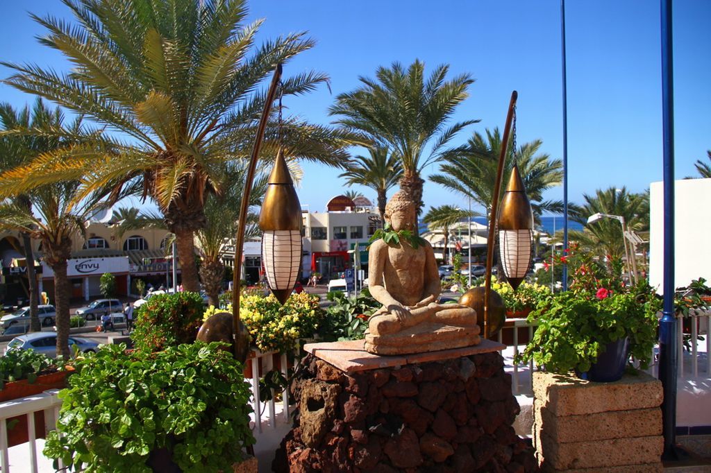 Playaflor Chill Out Resort A 50 Mtrs De La Playa (Adults Only) Playa de las Americas (Tenerife) Exterior foto